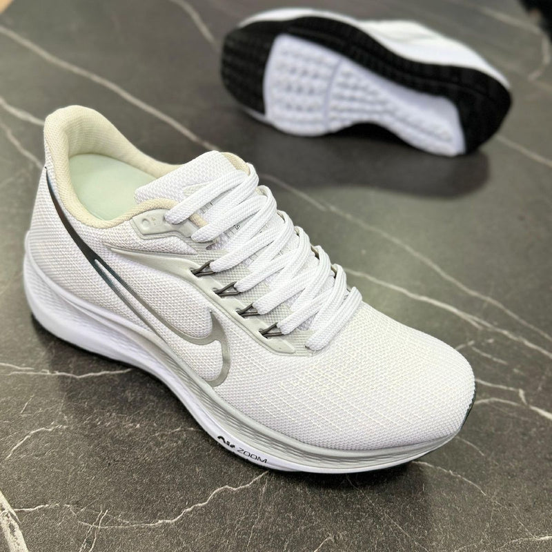 Air Pegasus 39 Branco e prata